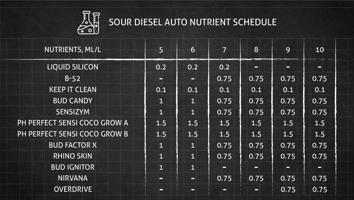 Sour Diesel Auto cannabis strain: feeding chart for the flowering stage