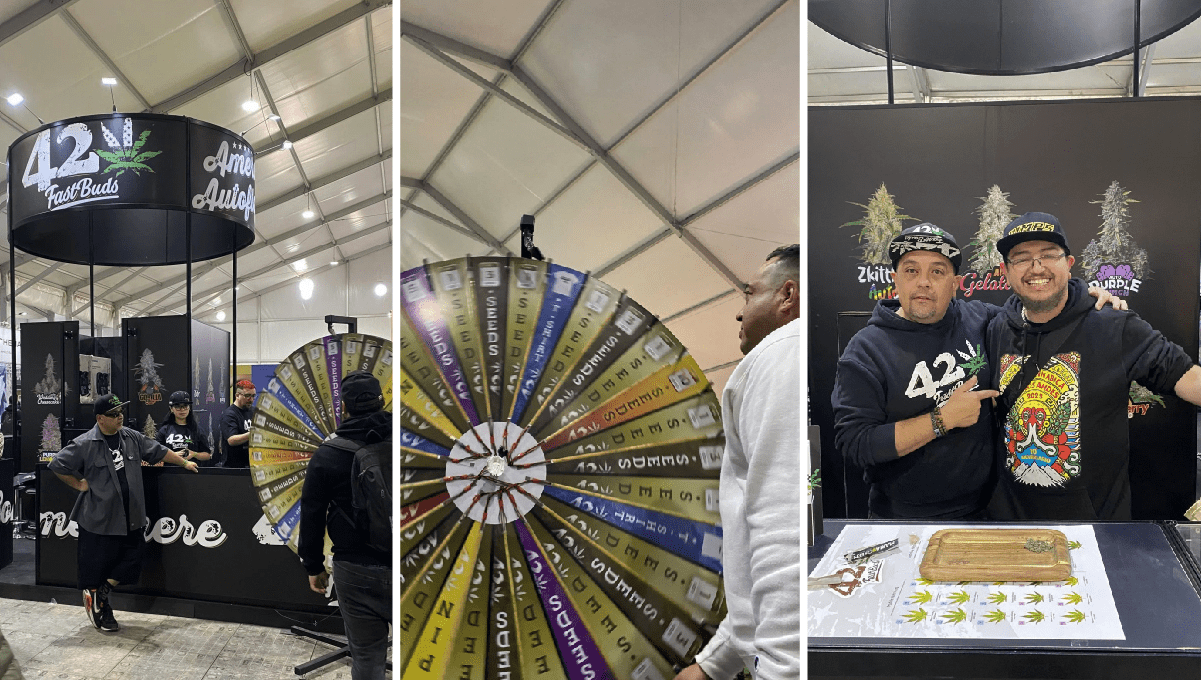 Much More Than an Expo, A Weed Festival