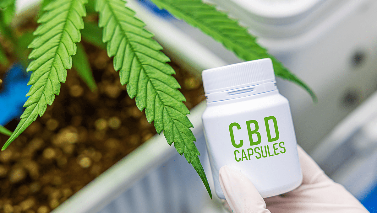 Weed in germany: medicinal cannabis