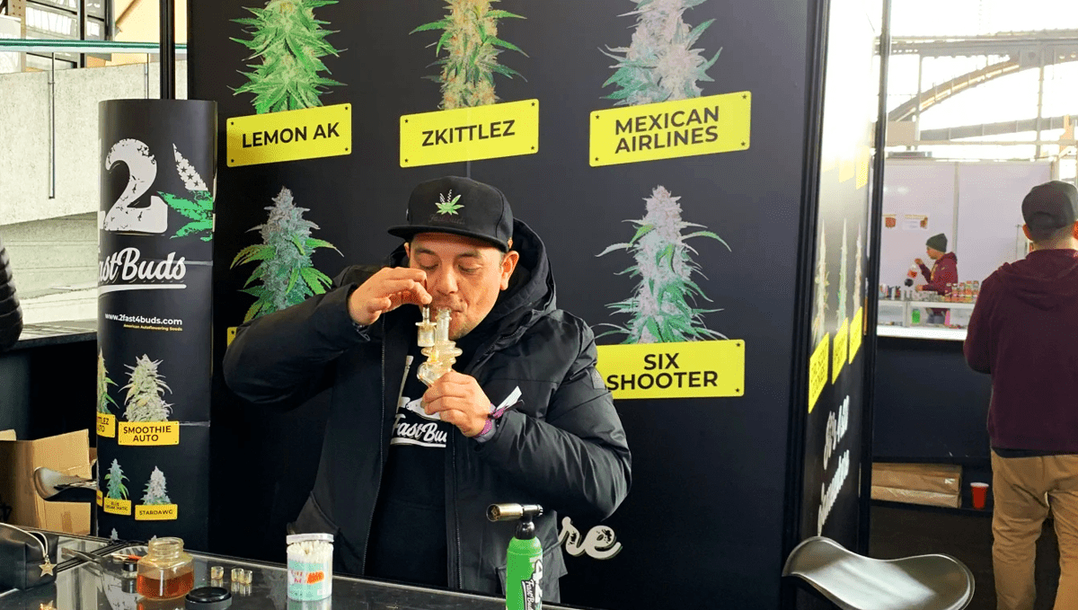 Gorilla Z wins 1st place at Dabadoo Brasil 2022