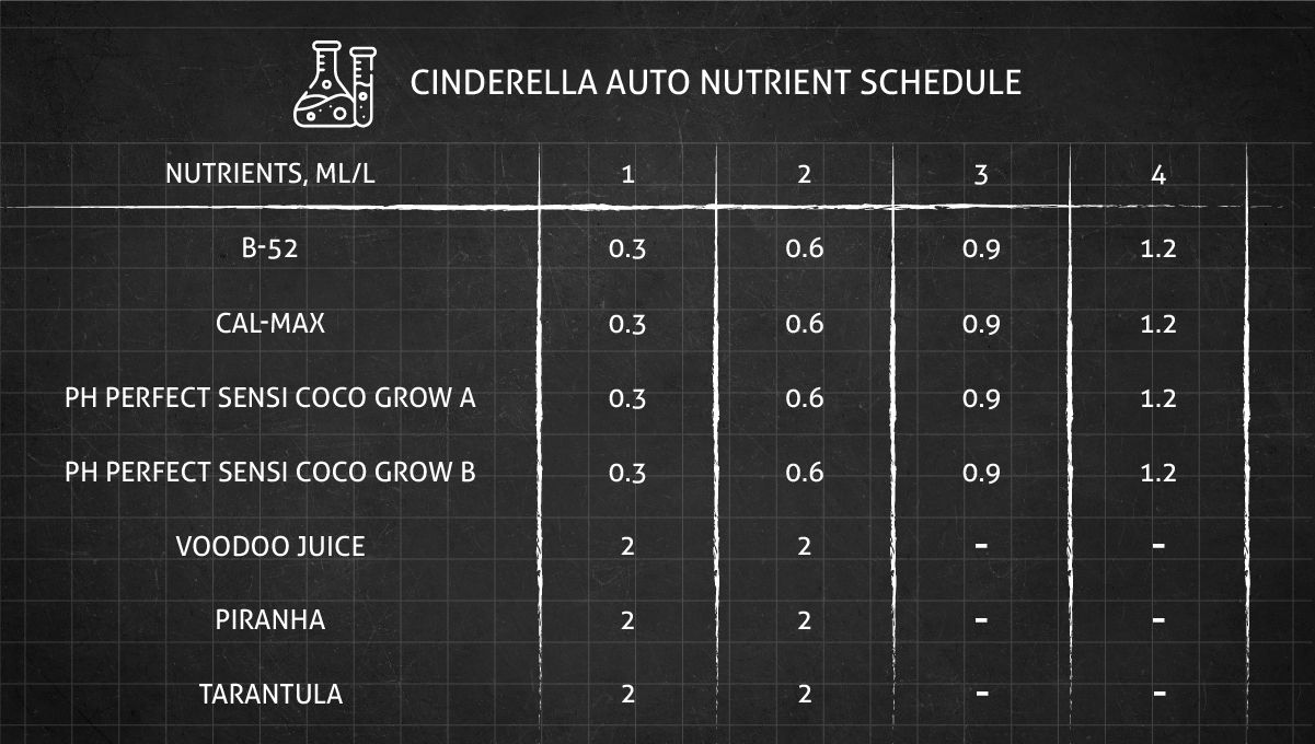 Cinderella Auto cannabis strain: feeding chart for the vegetative stage