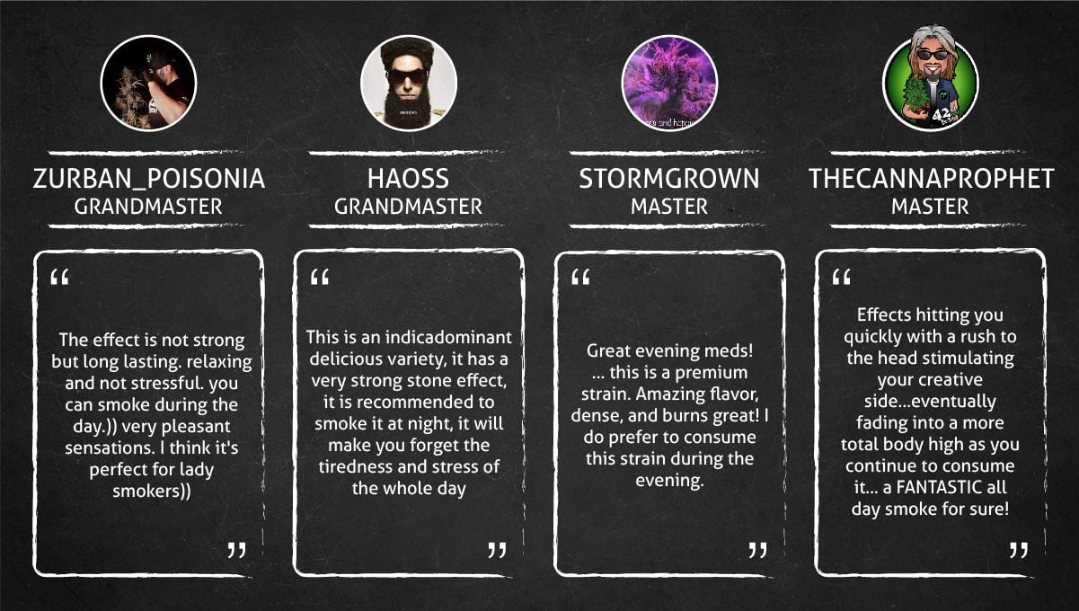 Gorilla Z Auto cannabis strain: smoke report