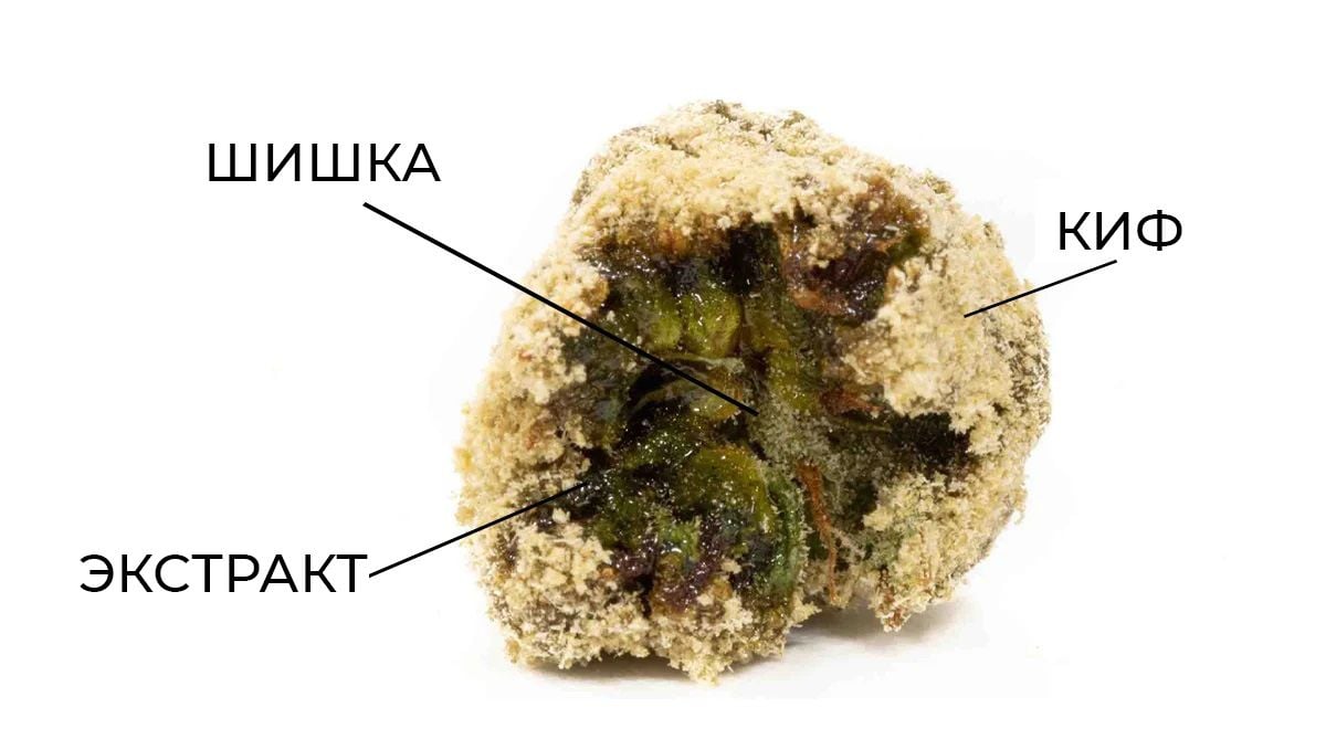 Moonrocks: what are they?