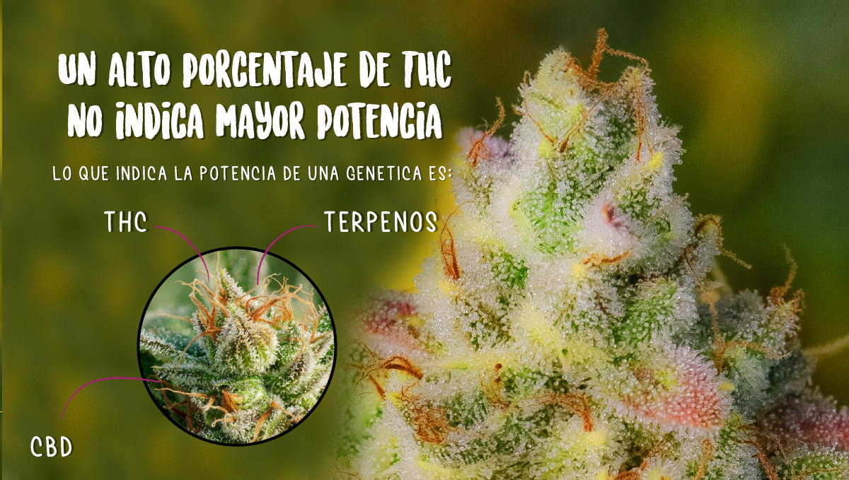 Are autos potent?: what determines potency?