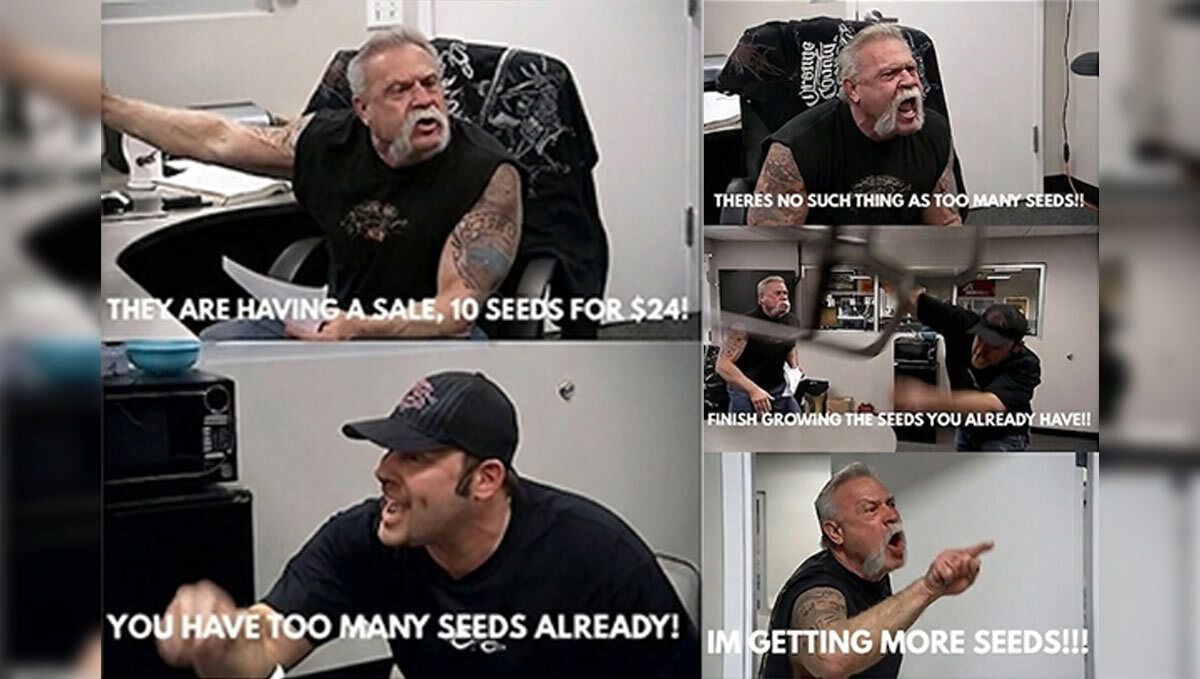 Meme