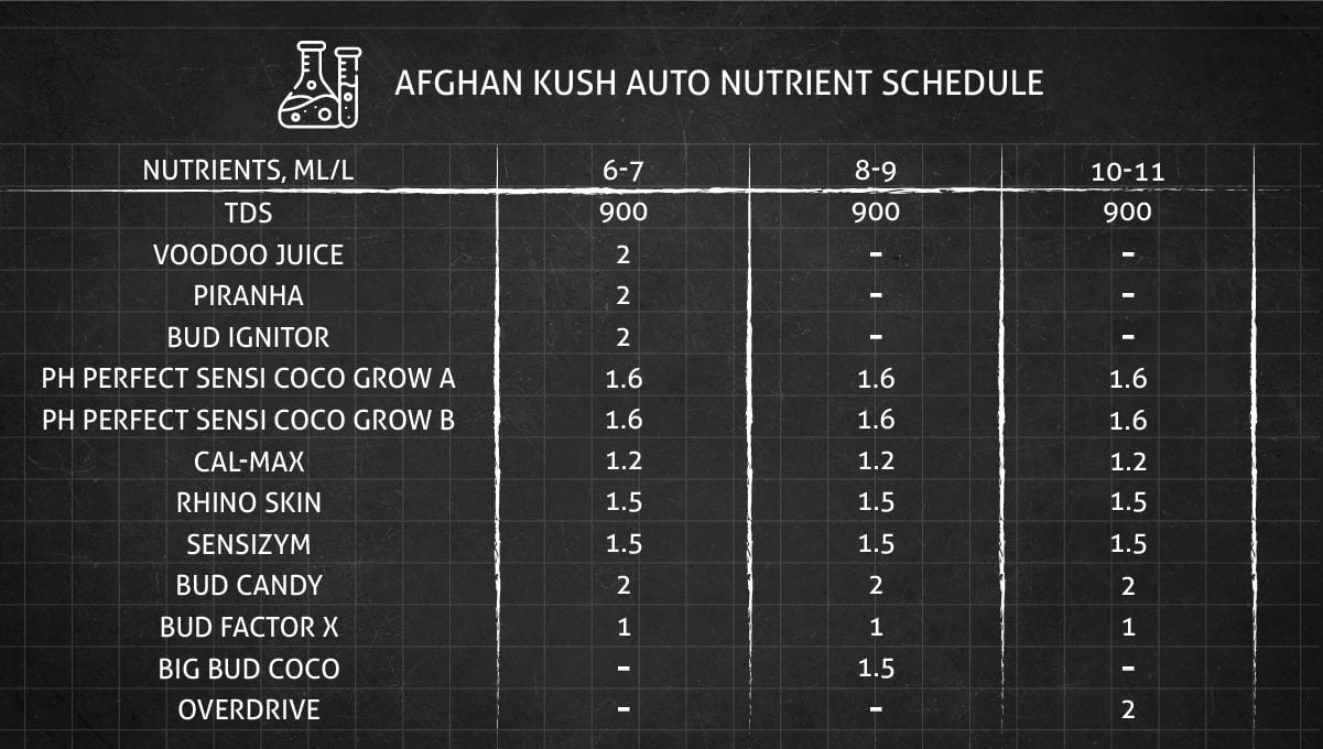 Auto Afghan Kush cannabis strain: nutrient schedule for different stages of flowering