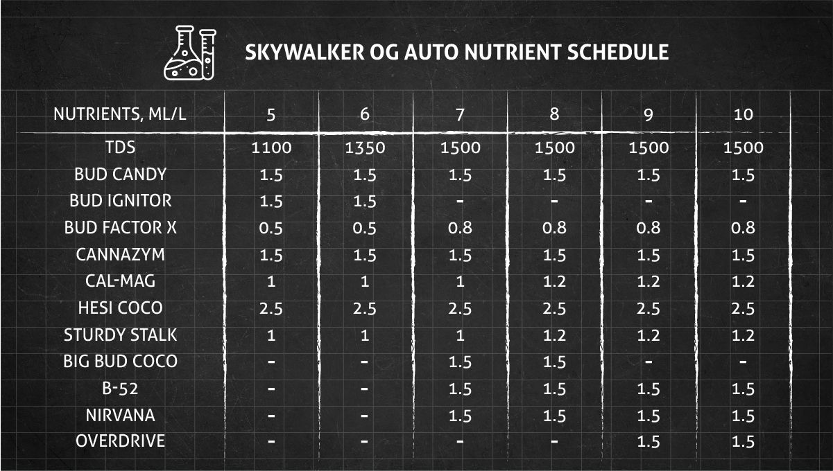 Skywalker OG Auto cannabis strain: feeding chart for the flowering stage