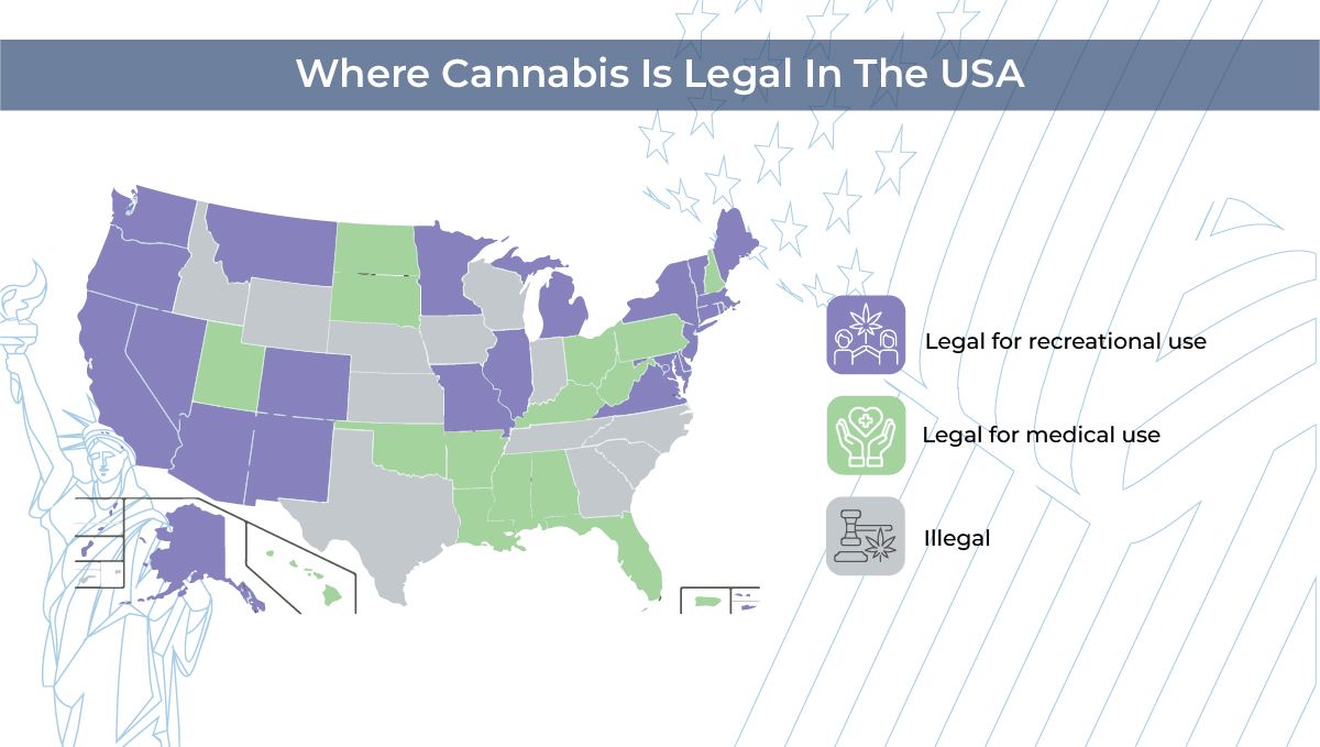 Why autos are the best choice for american home growers: legality Why autos are the best choice for american home growers: legality