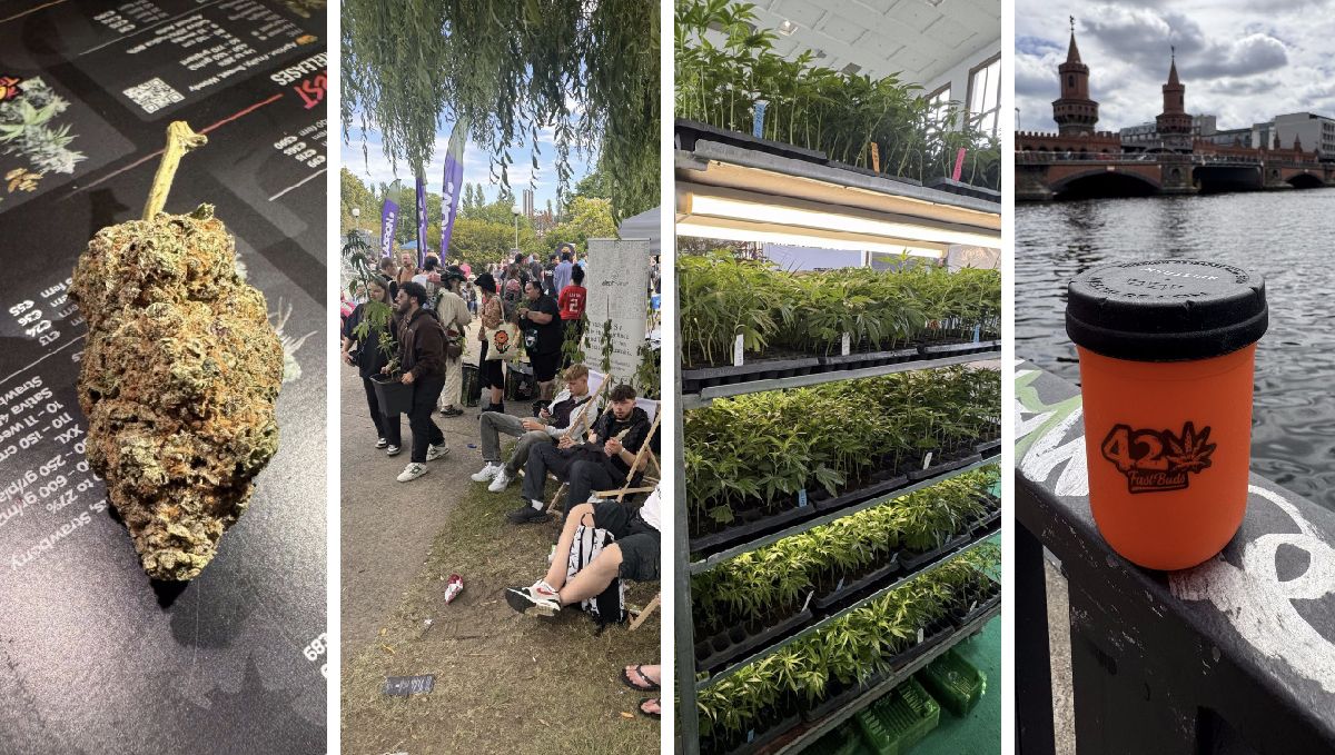 záblesky z roku 2024