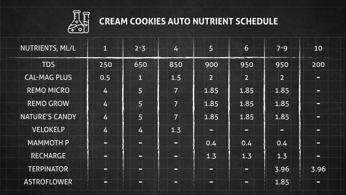Cream Cookies Auto cannabis strain: veg and flower nutrient schedule