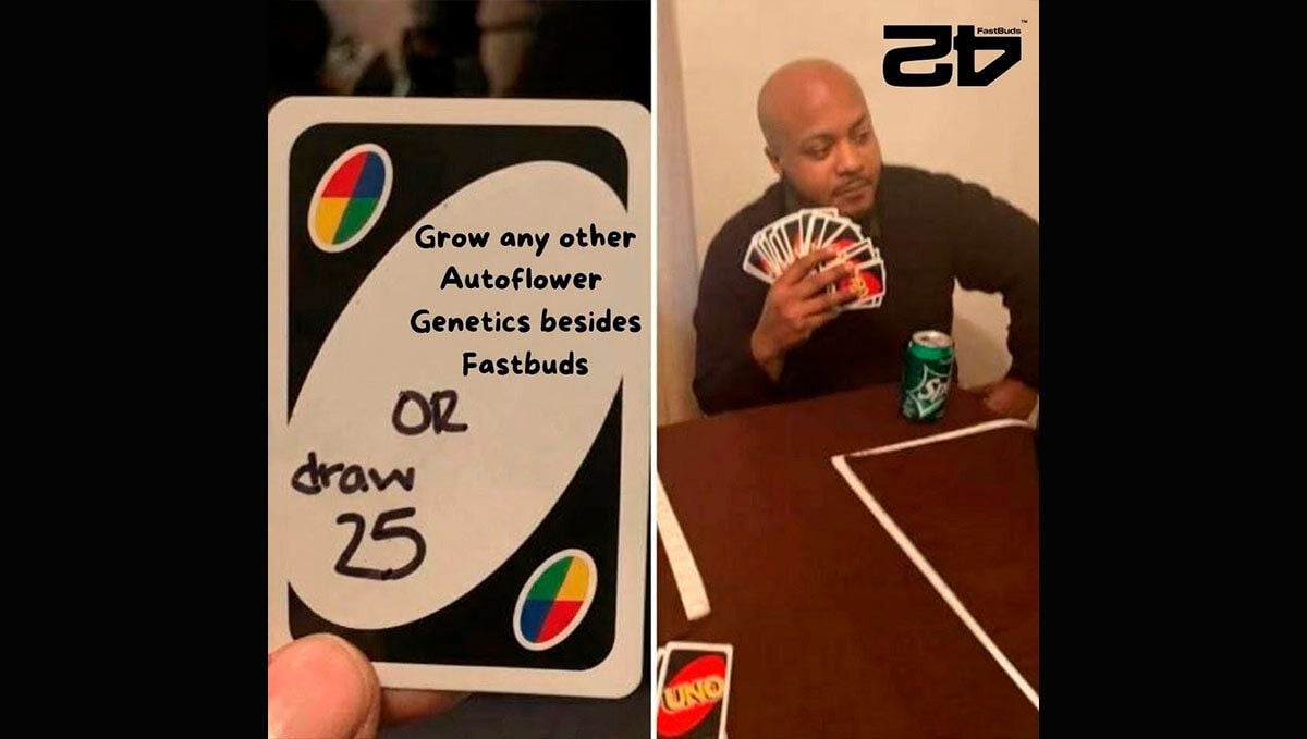 meme