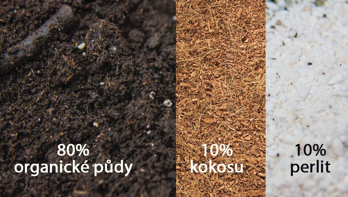 Nejlepší půdní směs pro začínající pěstitele