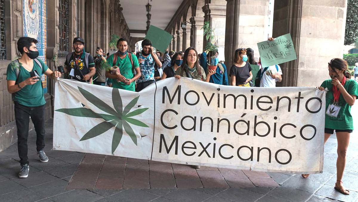 Mexico: Cannabis May be Legalized This Legislative Session: Activists marching with little marijuana plants and a banner