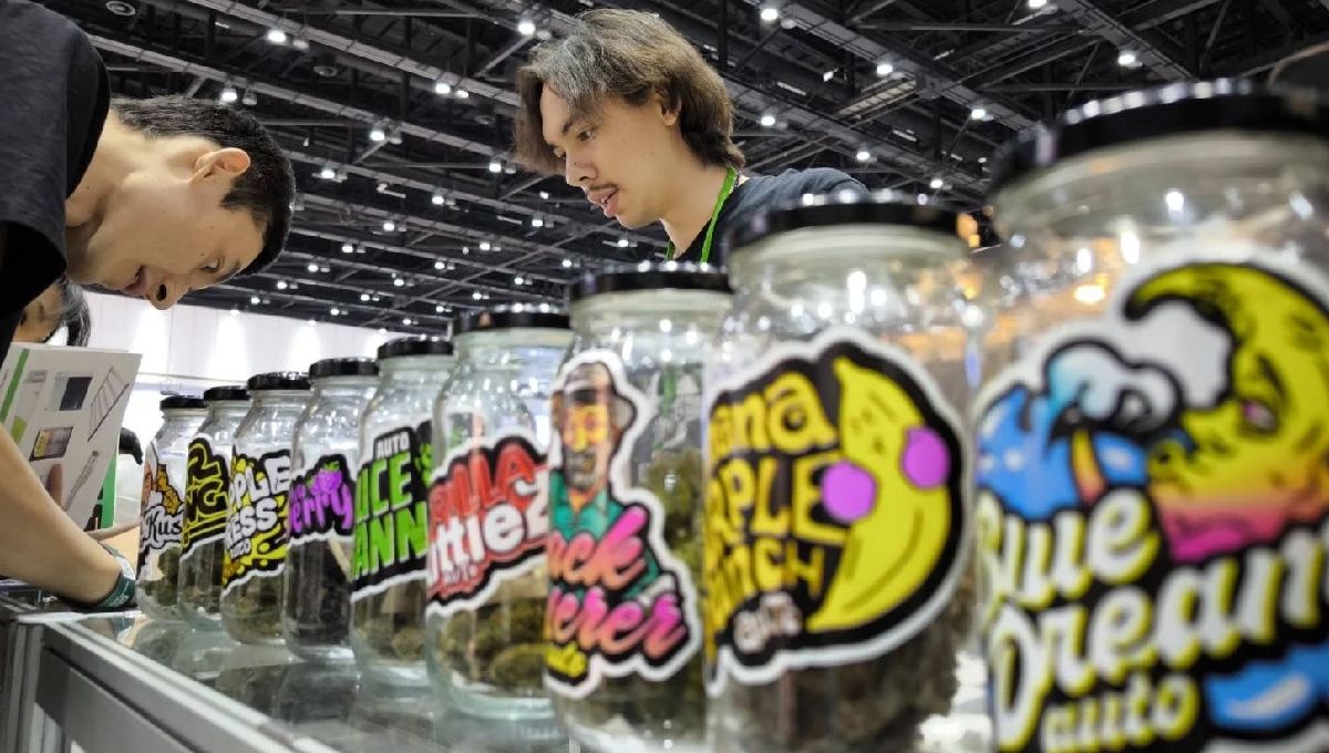 Asia International Hemp Expo: A One-of-a-Kind Experience Asia International Hemp Expo: Une expérience unique