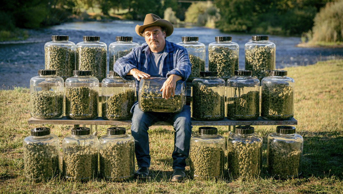 James Belushi: From Movie Star to Master Grower: The actor posing with many glass jars full of cured cannabis buds