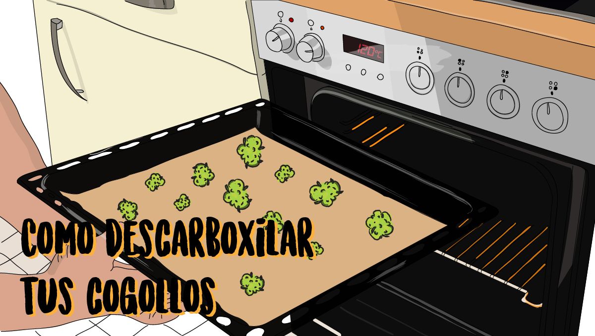 La descarboxilación es el primer y más importante paso para hacer cannabutter. La descarboxilación es el primer y más importante paso para hacer cannabutter.