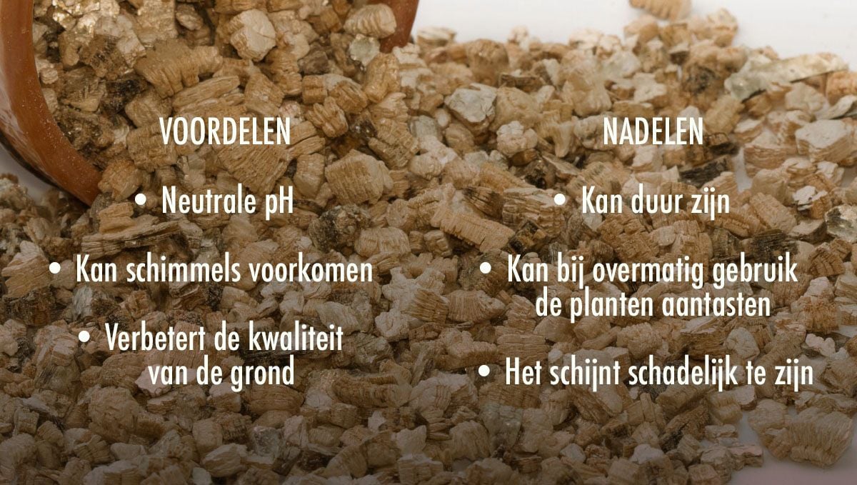 Welke grond is het beste voor zelfbloeiende cannabis?: Voor- en nadelen van het gebruik van vermiculiet in je grond Welke grond is het beste voor zelfbloeiende cannabis?: Voor- en nadelen van het gebruik van vermiculiet in je grond