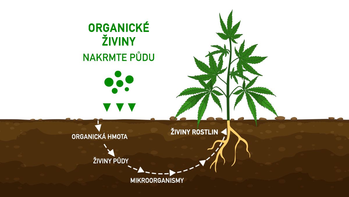 Jak vykrmit své pupeny: organické živiny