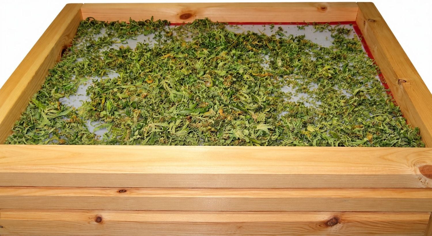 Hvað á að gera við kannabisafskurð: efnin sem þarf í þurrsigthash