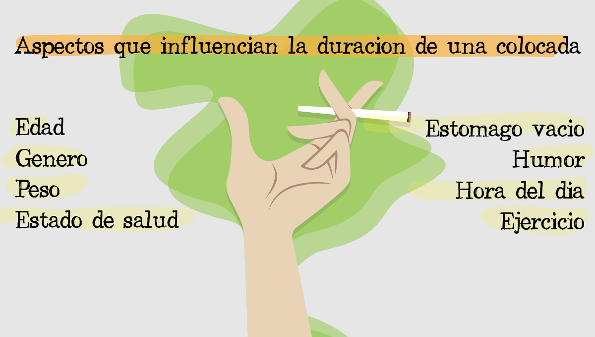 Cuanto dura un colocon de cannabis: aspectos que influencian. Cuanto dura un colocon de cannabis: aspectos que influencian.