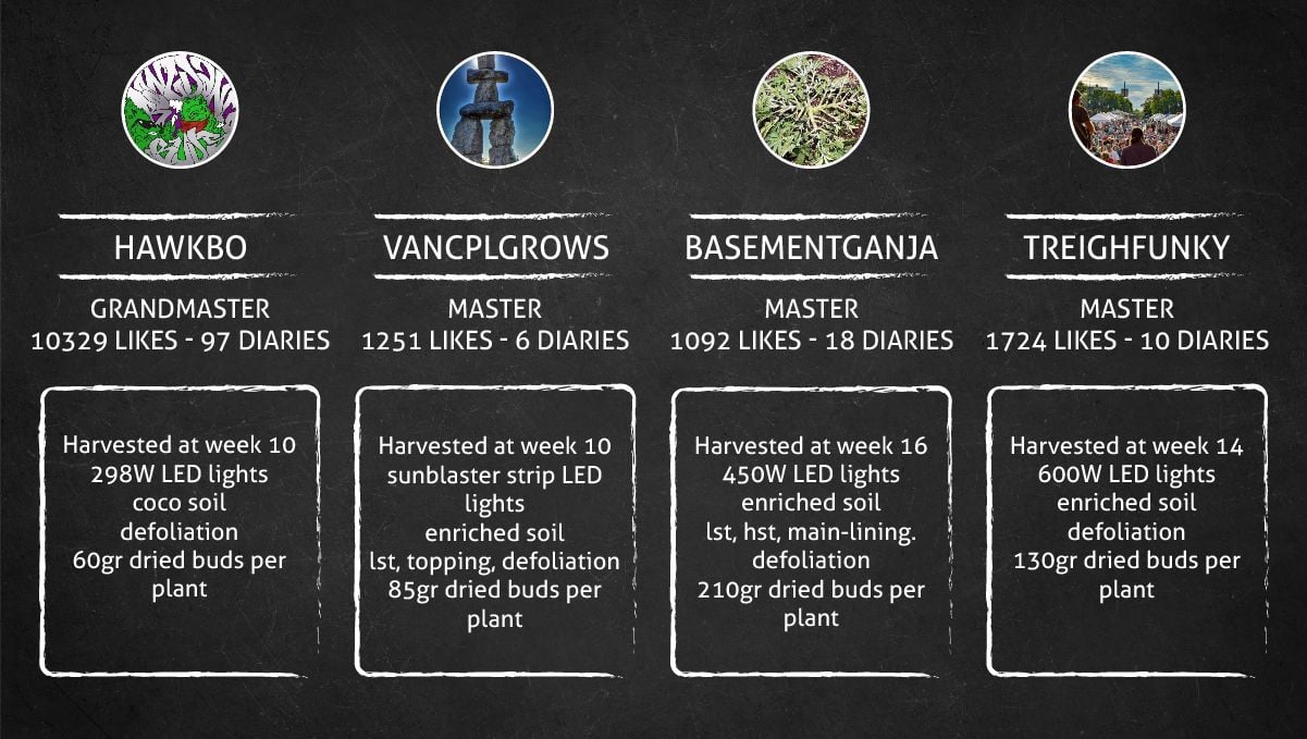 Wedding Cheesecake Auto Cannabis Strain: outcome table