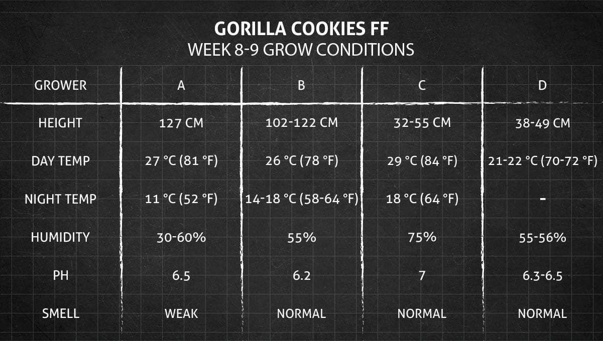 Gorilla Cookies FF cannabis strain: weeks 8-9 grow conditions