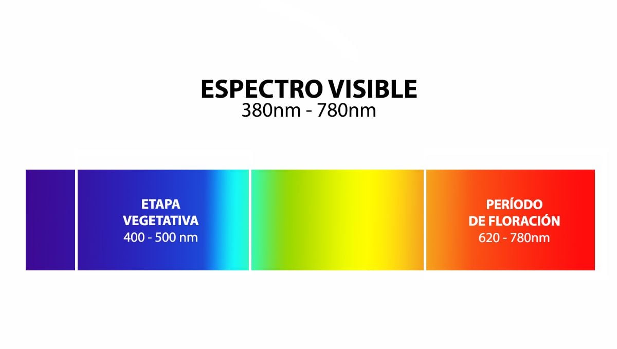 el mejor espectro lumínico para las autoflorecientes