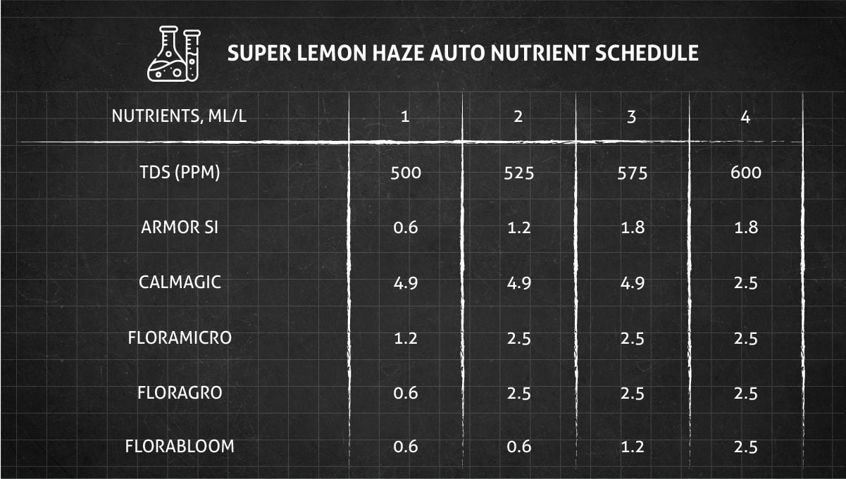 Super Lemon Haze Auto cannabis strain: feeding chart for the vegetative stage