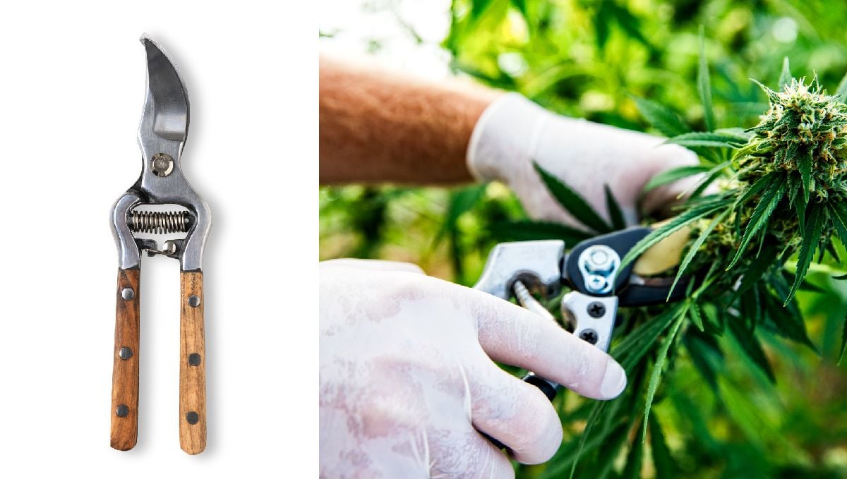 Top 8 Growing Gadgets That Will Help Improve Your Cannabis Garden