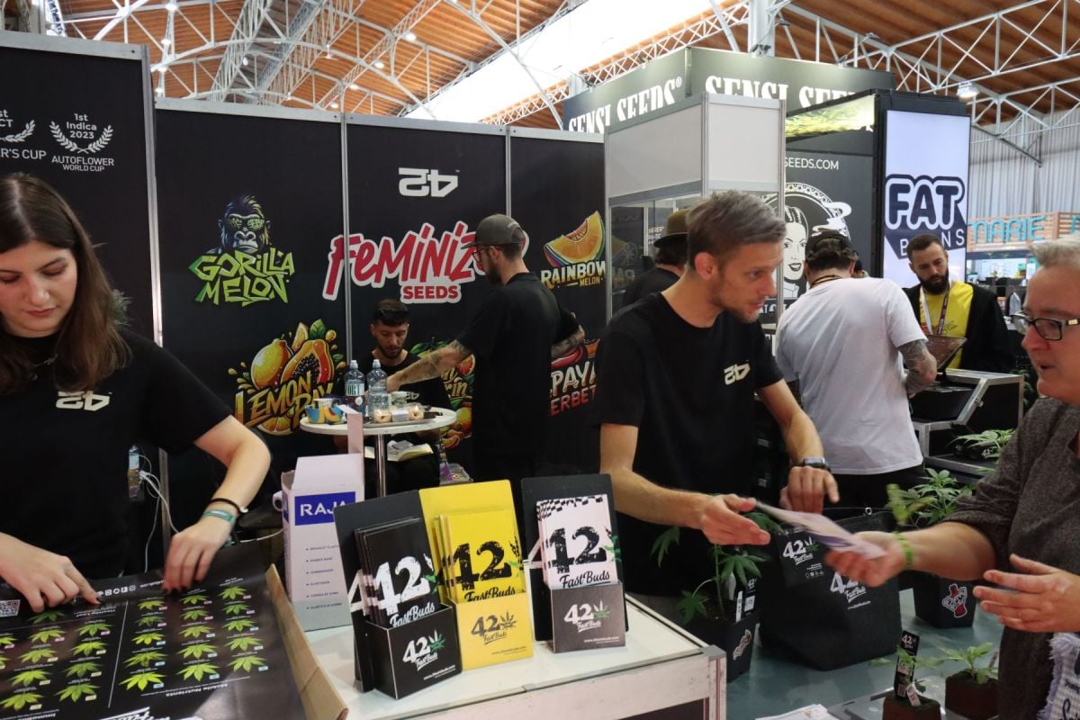 Fast Buds at Cultiva Hanfexpo