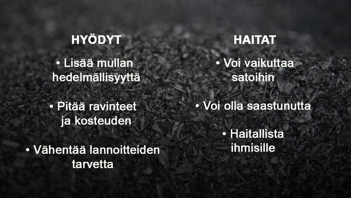 Hyödyt ja haitat biohiilen lisäämisestä multaan