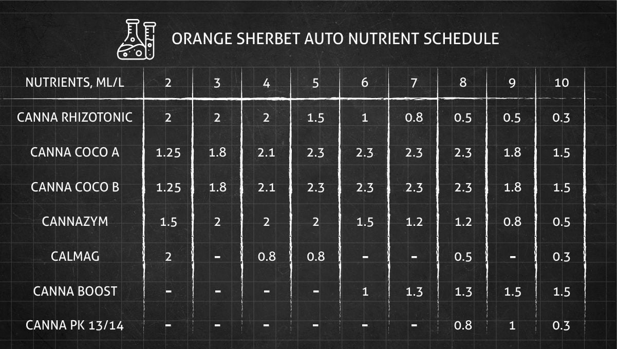 Orange Sherbet Auto Cannabis Strain Week-by-Week Guide: CANNA nutrients feeding schedule 