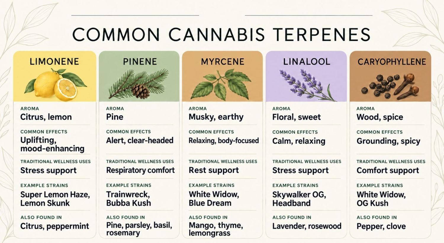 Hva er trikomer og hvorfor de er viktige: Vanlige cannabis-terpener og deres effekter