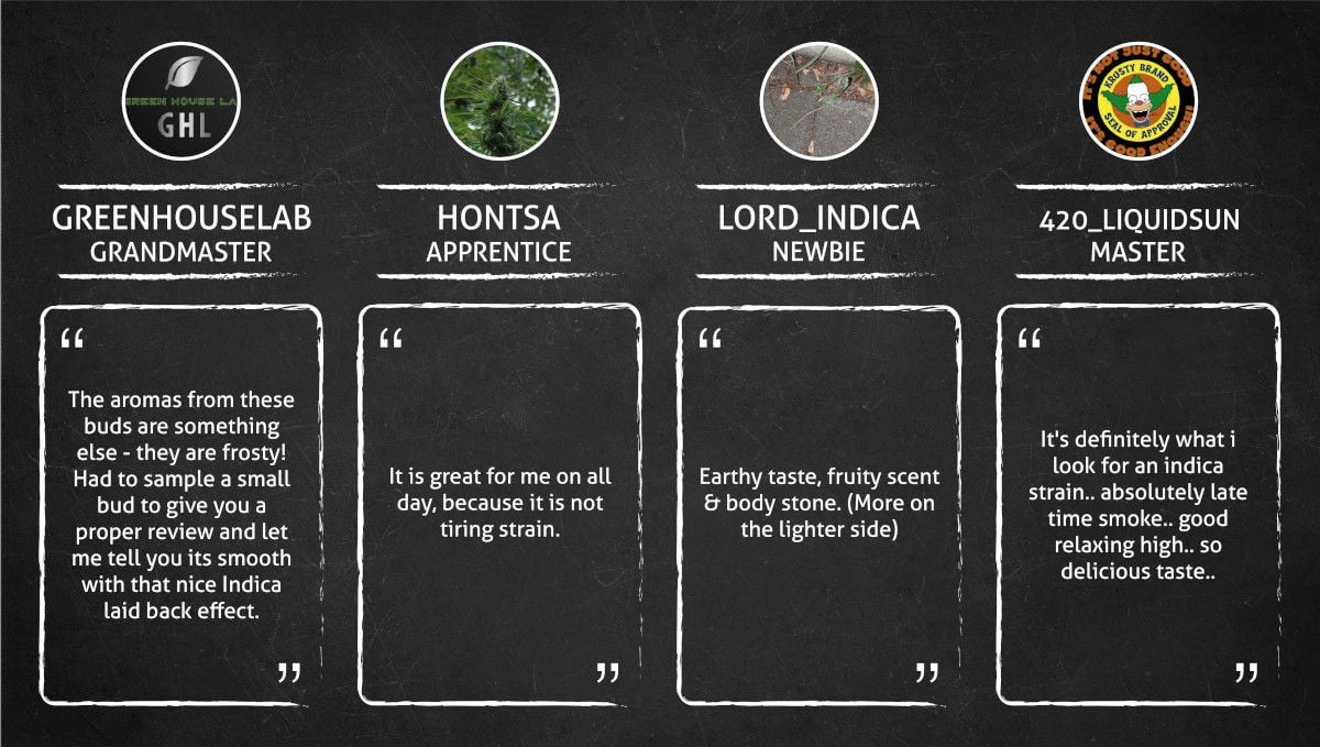 Auto Mazar cannabis strain: smokers’ quotes