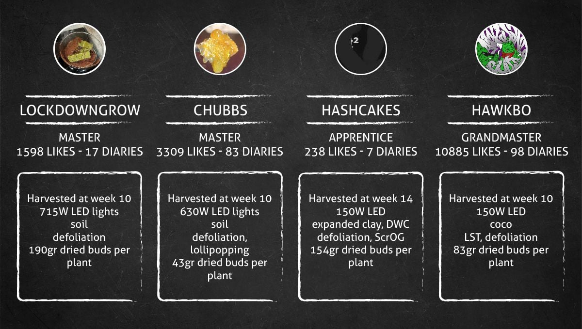 Blackberry Auto cannabis strain: outcome Blackberry Auto cannabis strain: outcome