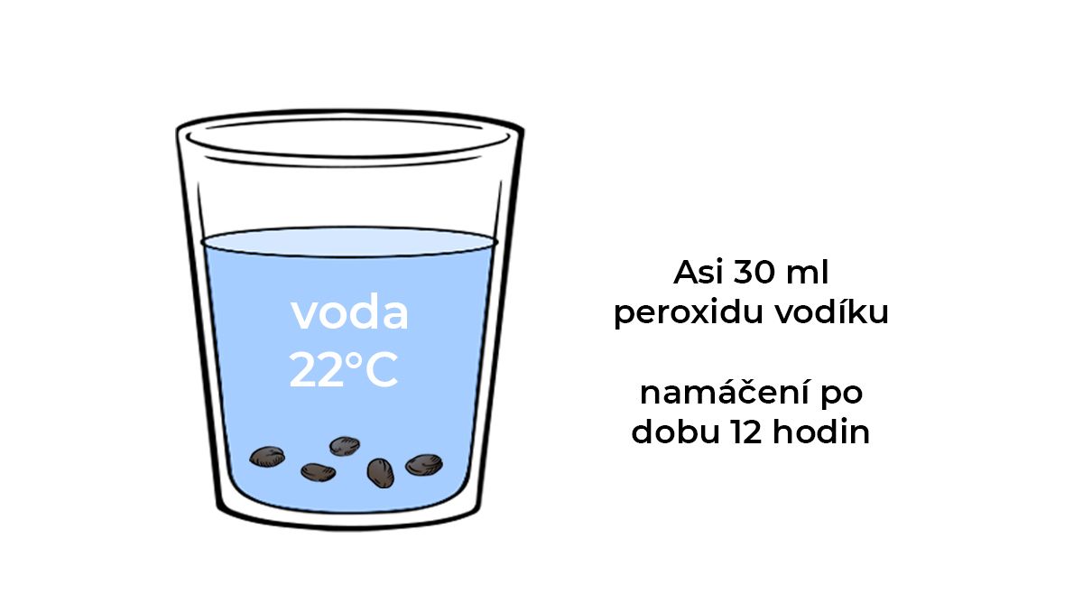 Průvodce klíčením: doplňovaná voda Průvodce klíčením: doplňovaná voda
