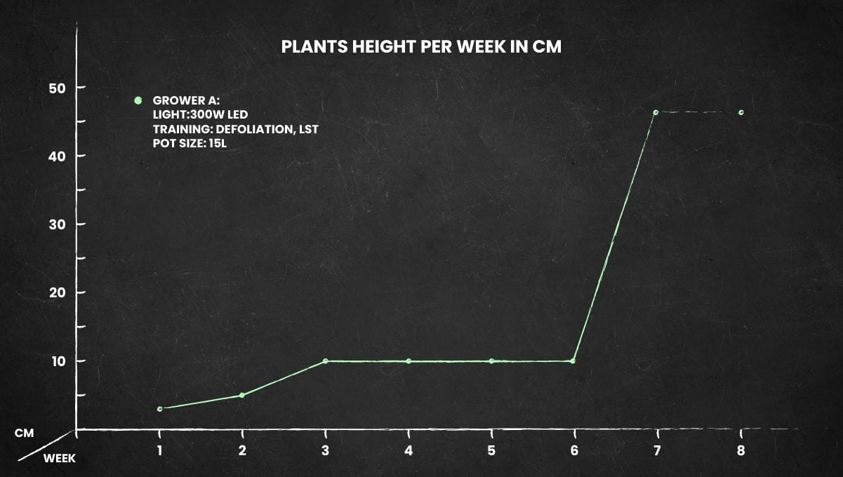 Stardawg Auto cannabis strain height chart Stardawg Auto cannabis strain height chart