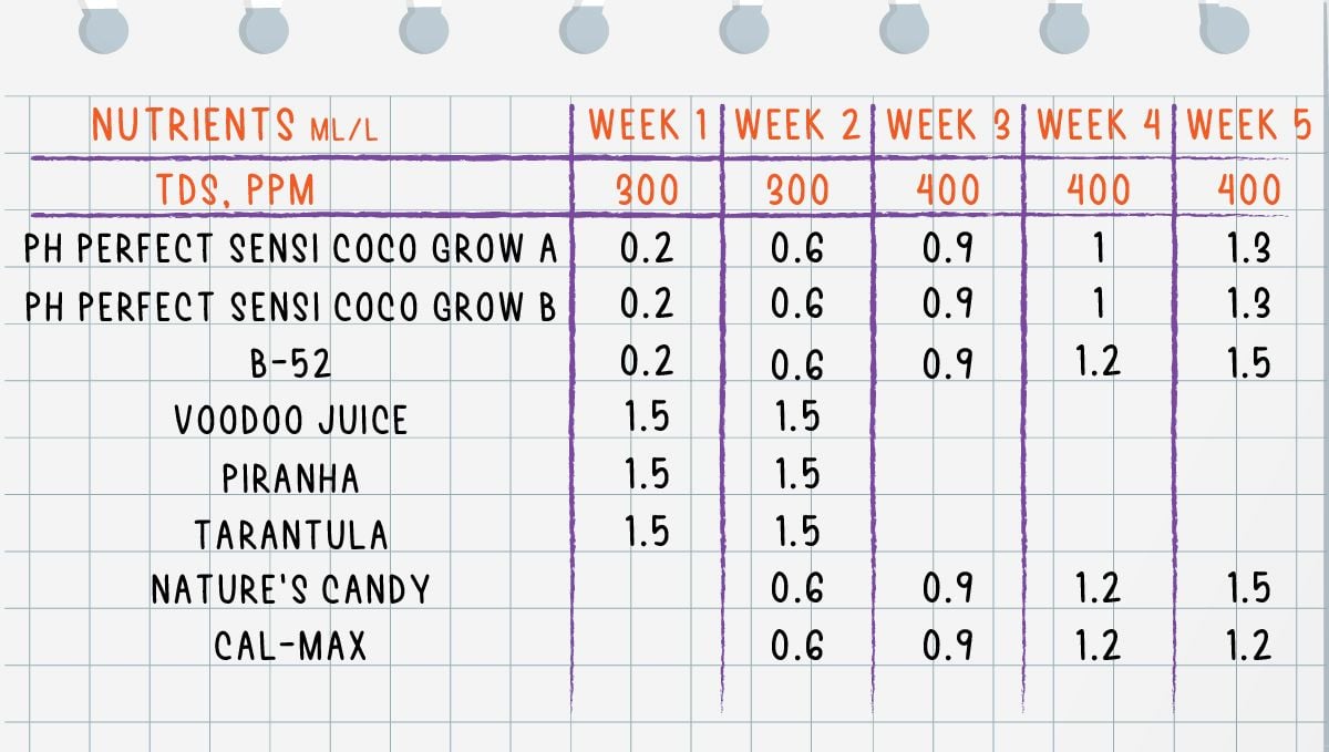 Forbidden Runtz Auto Cannabis Strain Week-by-Week Guide: The feeding schedule for the whole of the vegetative phase