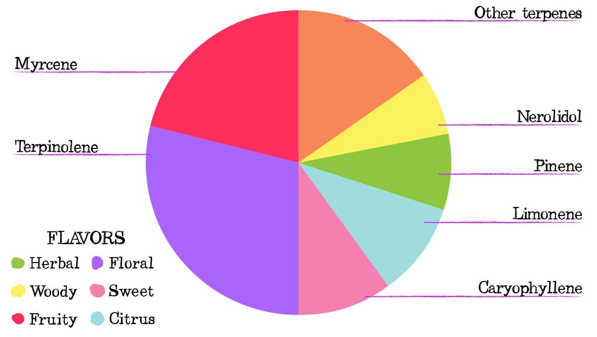 Moby dick auto week-by-week: terpene profile