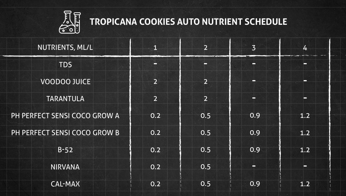 Tropicana Cookies Auto cannabis strain: veg nutrient schedule