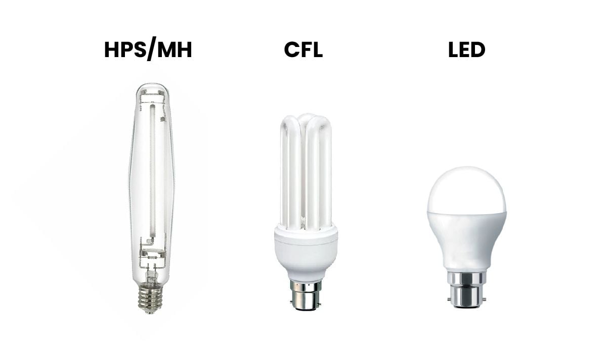 Diy grow room: bulbs