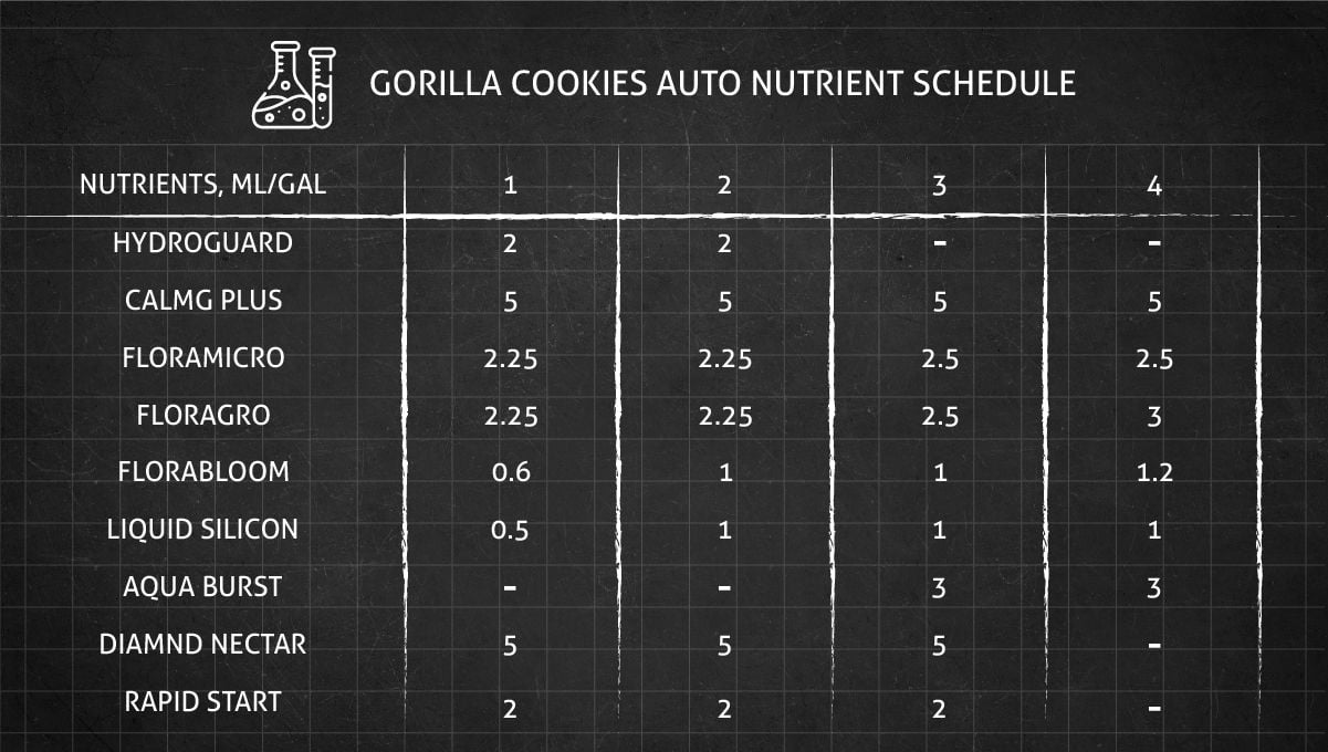 Gorilla Cookies Auto Cannabis Strain Week-by-Week Guide: Feeding chart