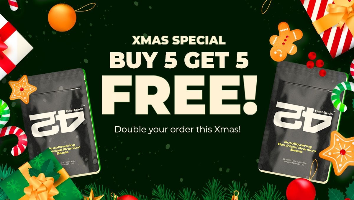 Xmas Special.jpg Mejores regalos en Fast Buds!