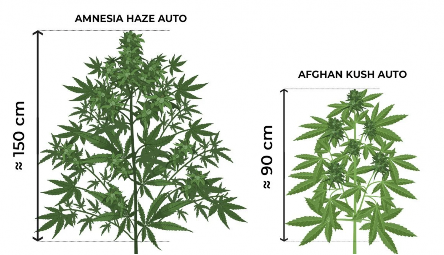 Screenshot 2021-06-11 at 12.12.30.png