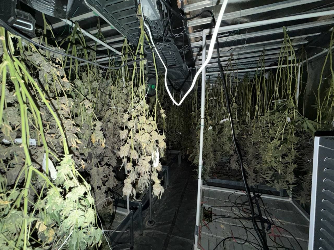 Harvest