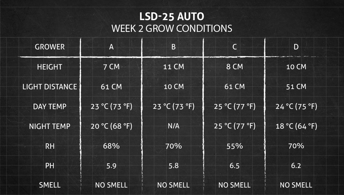 LSD-25 Auto cannabis strain: week 2 grow conditions