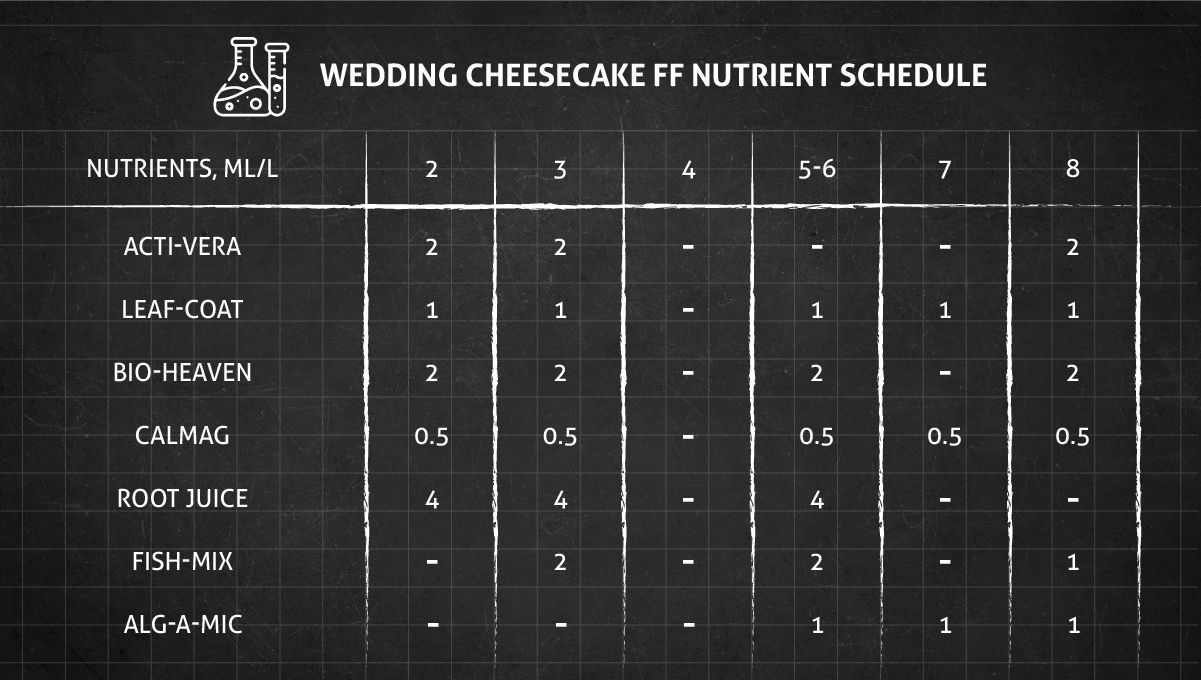 Wedding Cheesecake FF cannabis strain: veg nutrient schedule Wedding Cheesecake FF cannabis strain: veg nutrient schedule