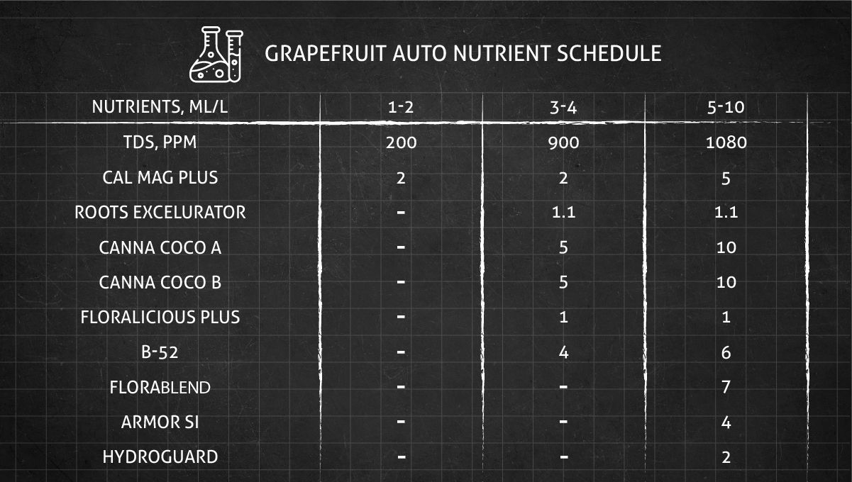 Grapefruit Auto cannabis strain: nutrient schedule