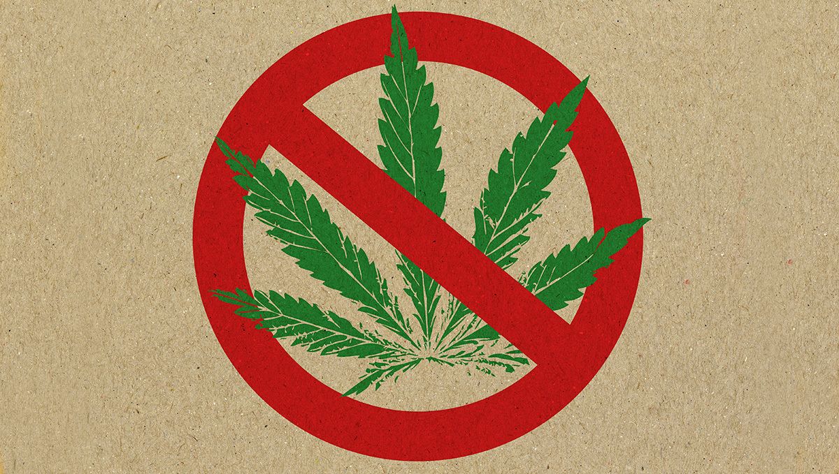 The origin of the word ‘marijuana’: 1937 was a true turning point