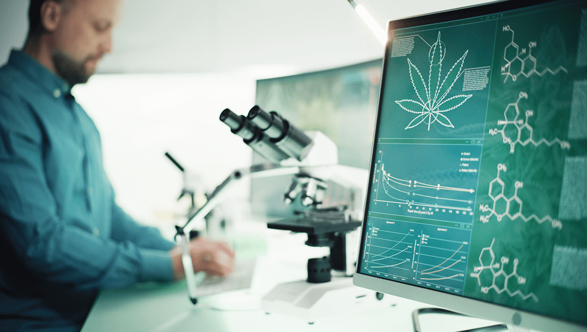 Weed in washington: medicinal cannabis